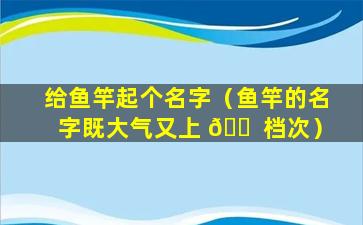 给鱼竿起个名字（鱼竿的名字既大气又上 🐠 档次）